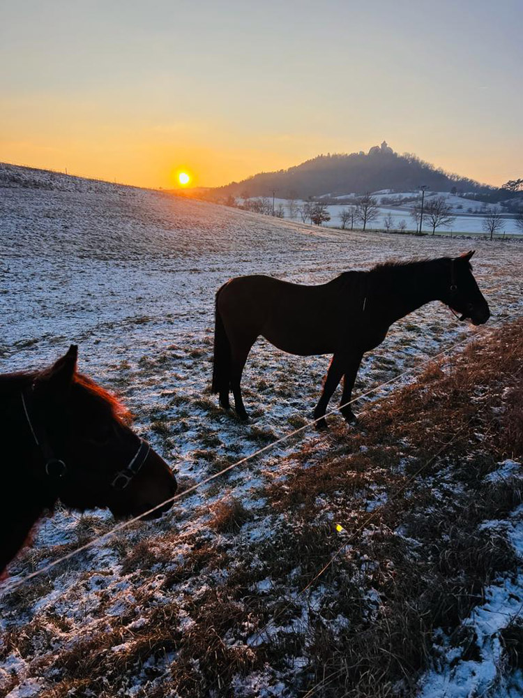 Umgebung_Wachsenburg_22